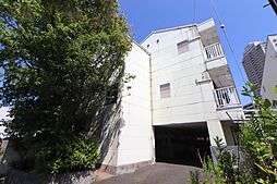 Lily-be寄居 203