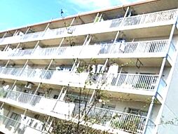 八千代市高津団地6街区14号棟