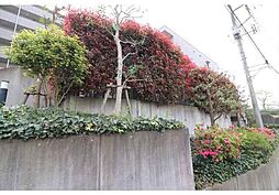 シャトーイノハナ