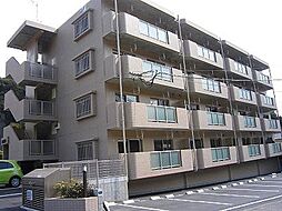 サニーコート風花 201