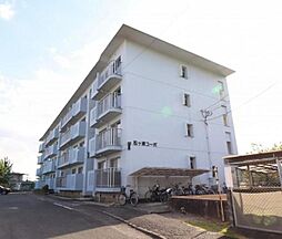 フォーサイト紫Ｒ・Ｖｉｅｗ　ｔｅｒｒａｃｅ 406