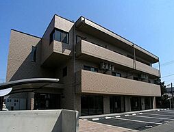 ブルックスソレイユ 202