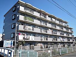 サンライズ多摩 203