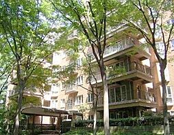 広尾ガーデンヒルズＡ棟 708