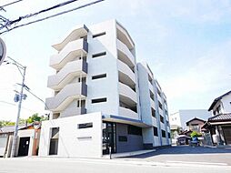 アモルグーテ 203