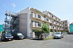 ダンデライアン鵠沼