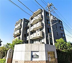 ピュアグレース 203