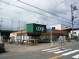 メゾンテラス逗子 302