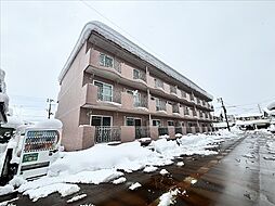 ピュアタウン花園 205