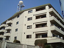 山王ハマセイホウ 305B