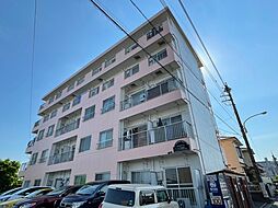 エクセルミドリ