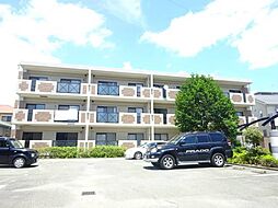 ステラ・コート弐番館 202