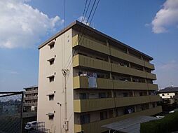 八尋ビル大豊 203