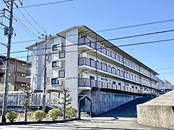 プリマベーラＳ 105
