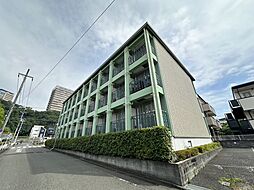 ルピナス81 303