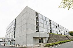 ｐｌａｔｆｏｒｍ 215