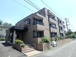 ソレアード P305