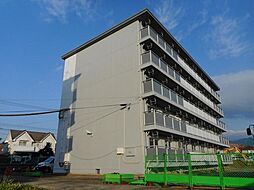 サルヴァトーレ志免 302