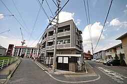 プリムローズ 202