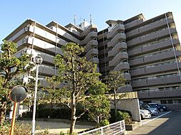 オレンジフラット
