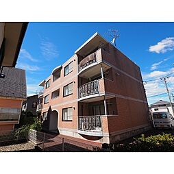 ピュアライフときめき 301