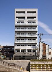 ＳＹＮＥＸ ＫＡＭＥＩＤＯ