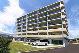 トレントの奏 206