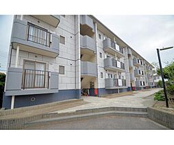 コートビレッジ辻堂 203