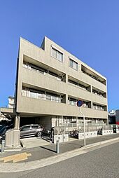 ＧＡＩＡ　ＮＳＴ