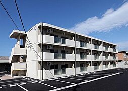 コンコルディア 103