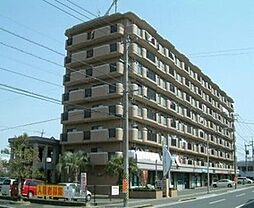 サザンコート・ブティア 803