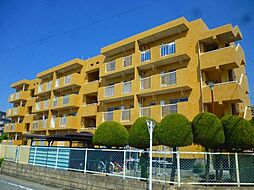 崎村第2ビル 303