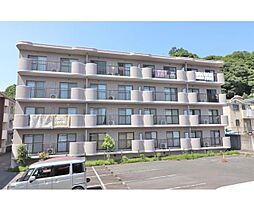 ベルヴェデーレＩＩ 305