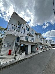 ビスコンティ成瀬 305