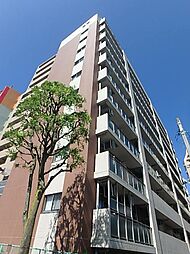 Primal Machida　プライマルマチダ