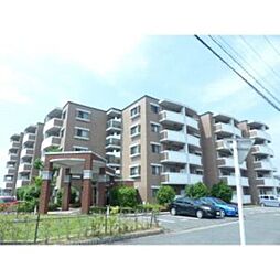 リー・ルーチェ 413