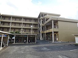 フェニックス拝島