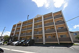 プリマベーラ 201