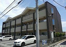 プリムローズ II