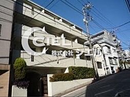 ビリジアン目白