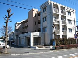 ルフォン・ワカバ