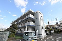 サンライズ・マゼミ