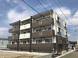 セレナイト　キリシマ 202