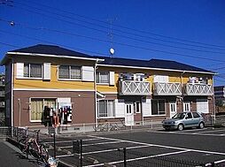 ハイムキロロ 103