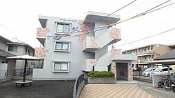 ベーシックパレス 105