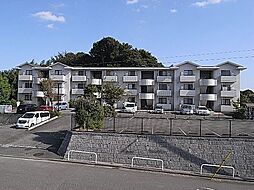 パルセルもえぎ野 205