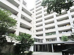 相模原市南区上鶴間７丁目