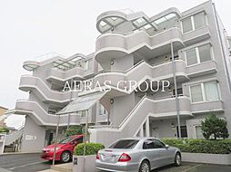 フラットサモアノ・北小金