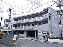 アザールカモ 303