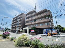 グレイス詩香 208
